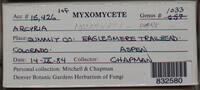 Image Associated With the Occurence